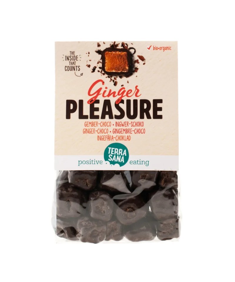Bolas chocolate jengibre TERRASANA 150 gr BIO