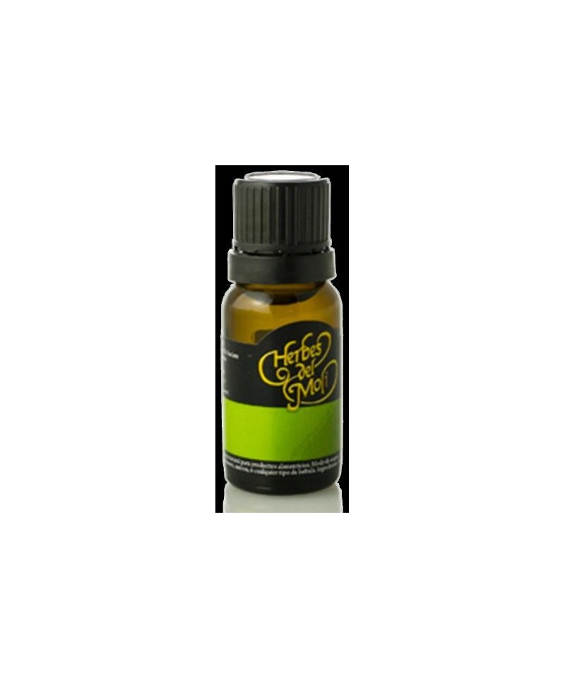 Esencia menta piperita HERBES DEL MOLI 10 cc ECO