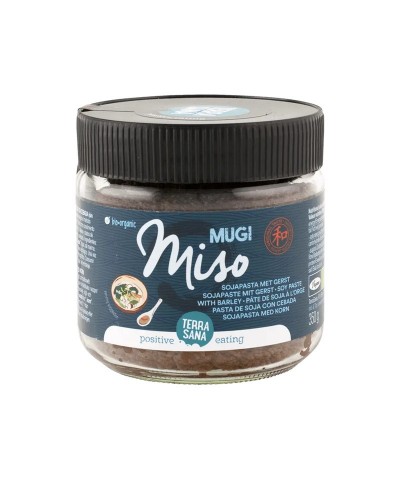 Mugi miso sin pasteurizar TERRASANA 350 gr BIO